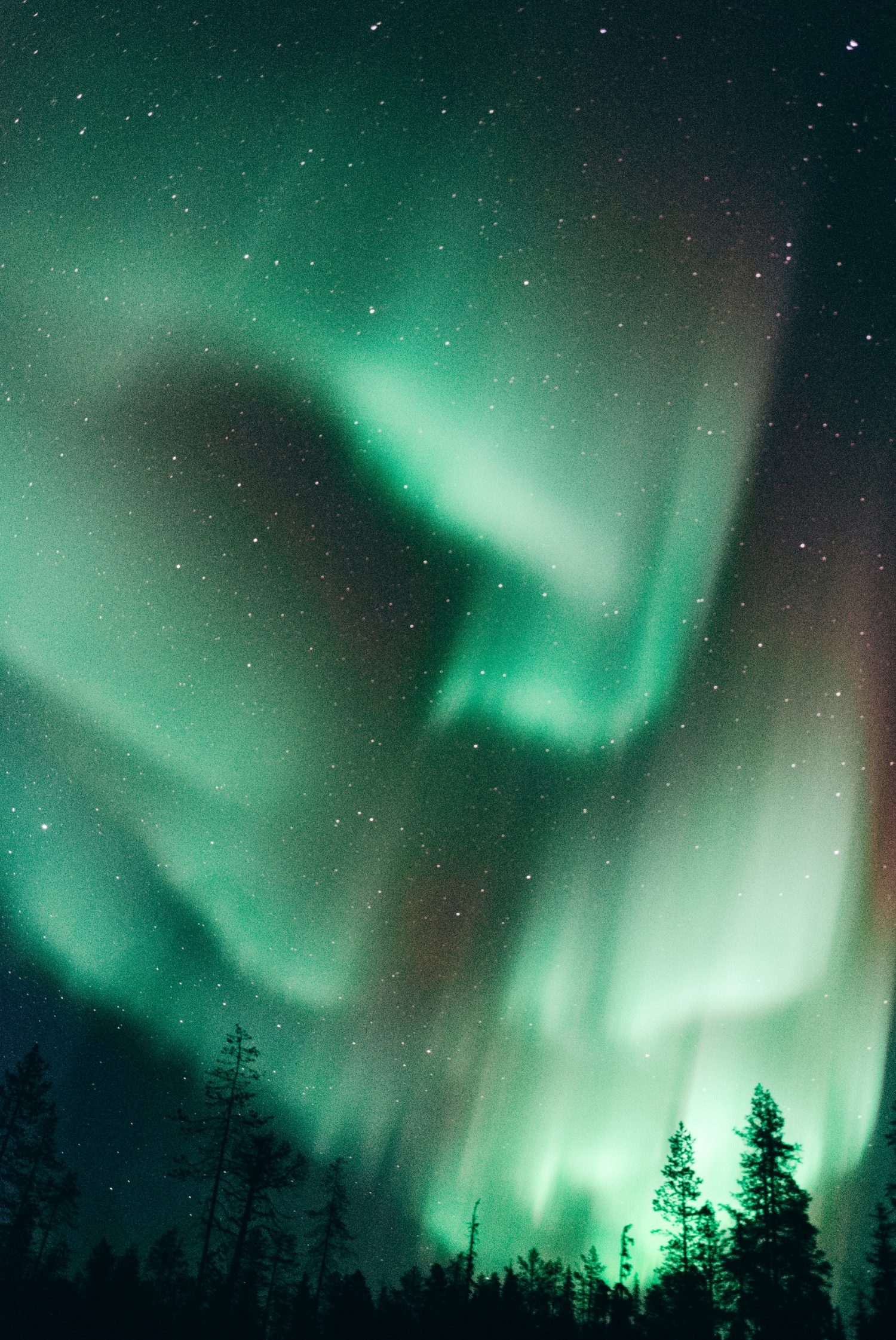 Northern Lights Photo by Lucas Marcomini