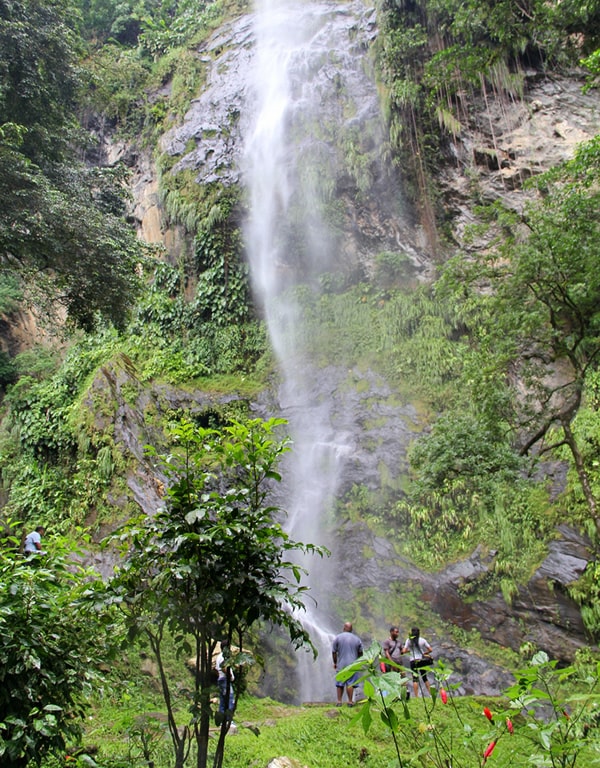 The Maracas Waterfall - Trinidad and Tobago