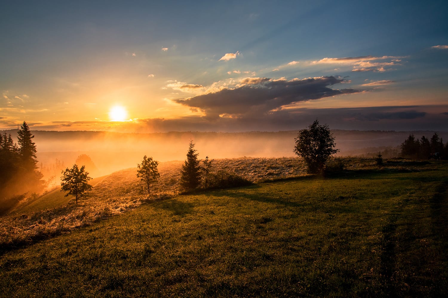 Evening and Morning Light