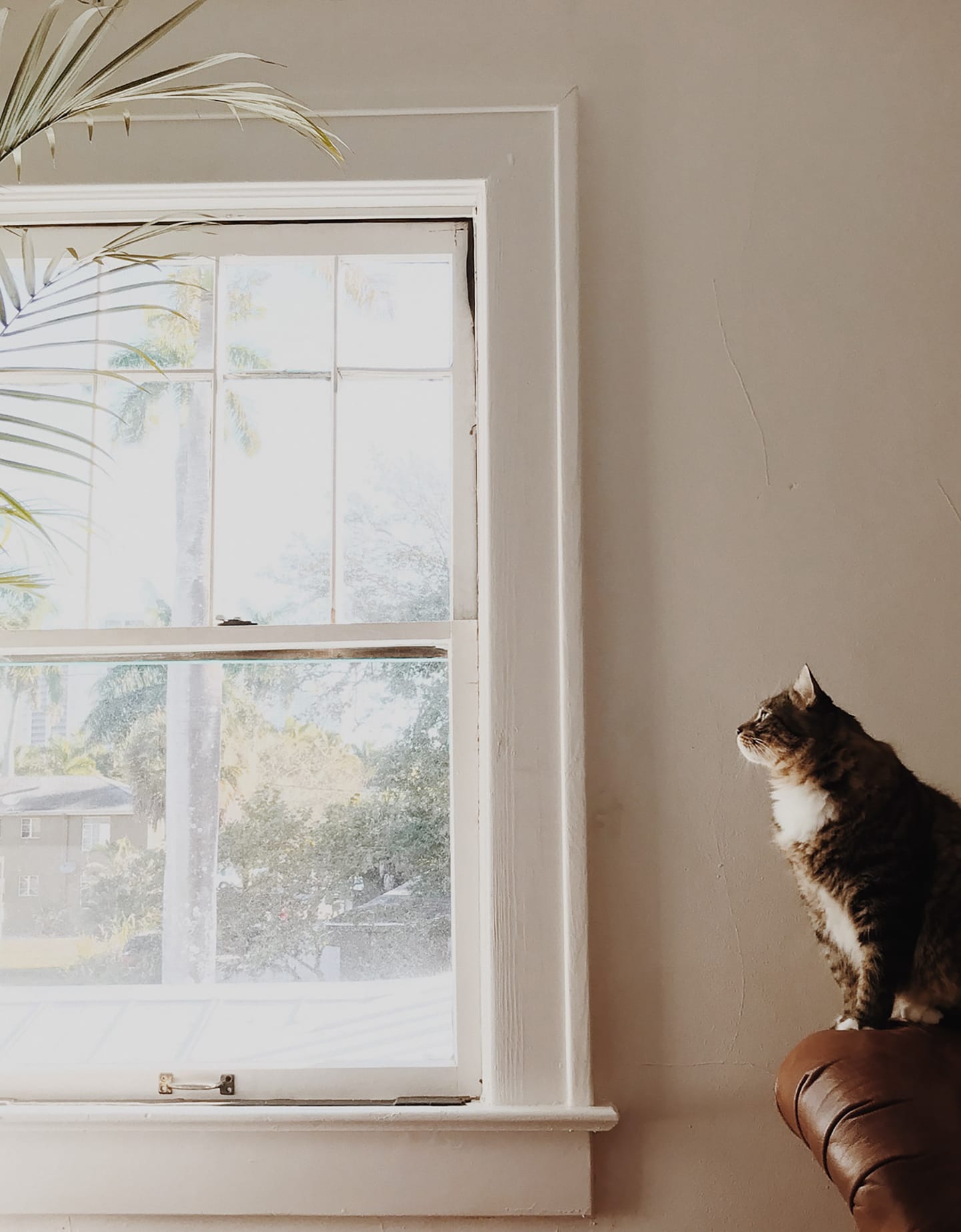 How to Use Natural Light for Family Photographs