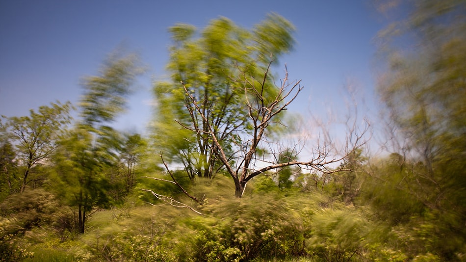 20 seconds on a windy day