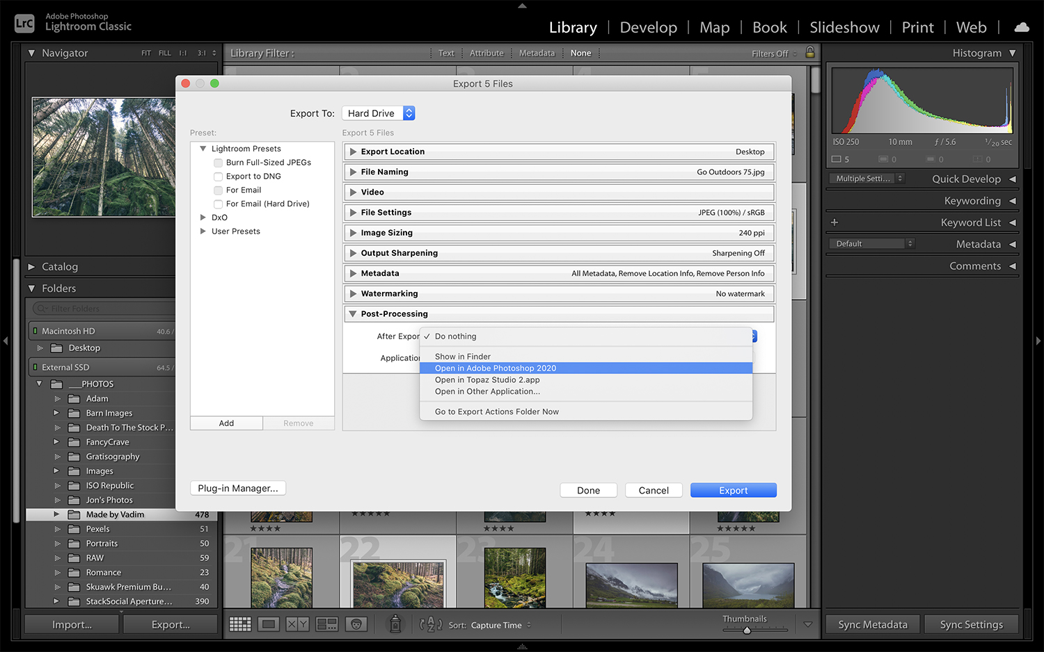 Everything You Need to Know About Exporting Images from Lightroom Classic