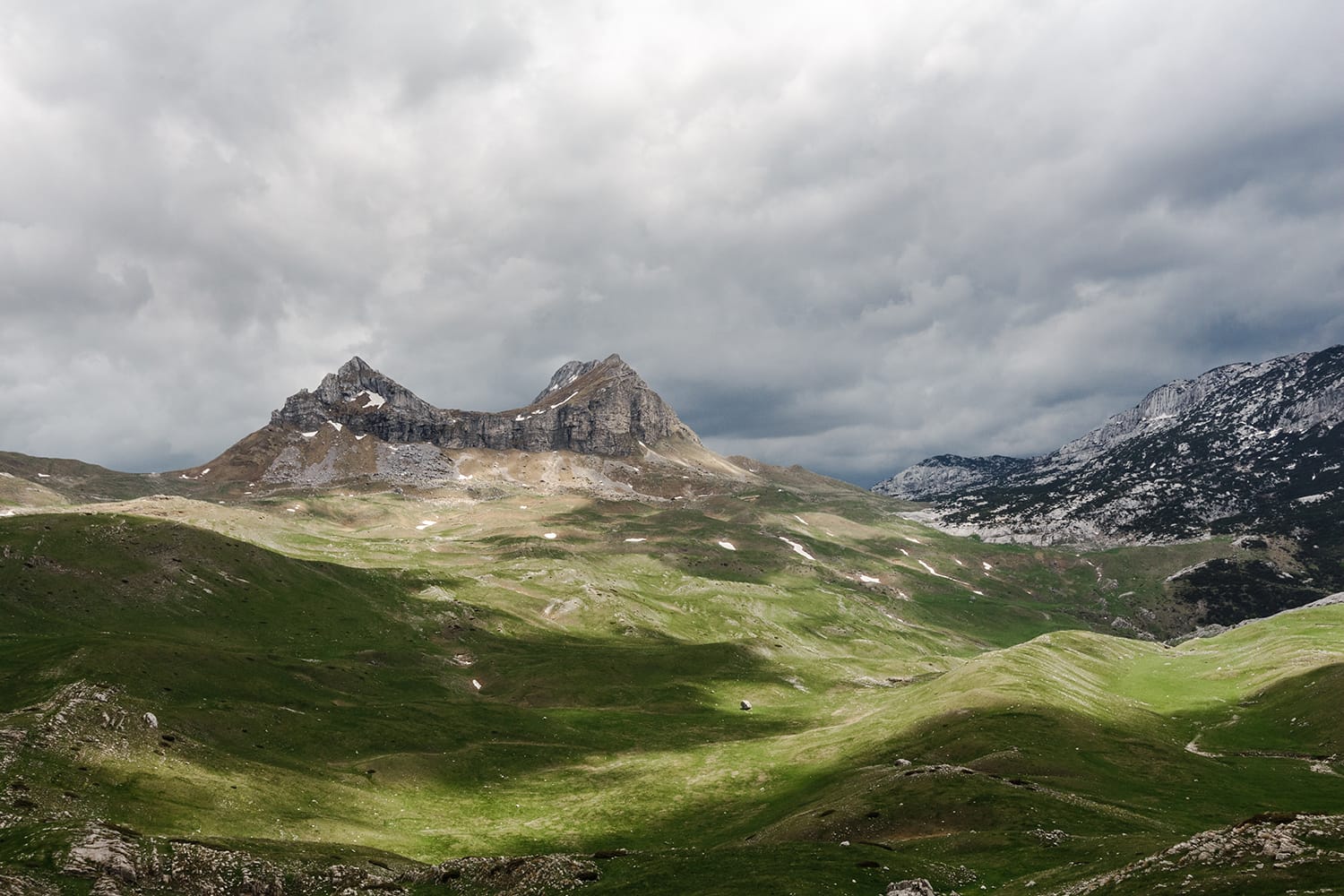 Shade and Overcast Light