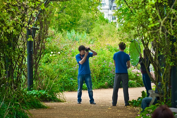 Pergola Shoot