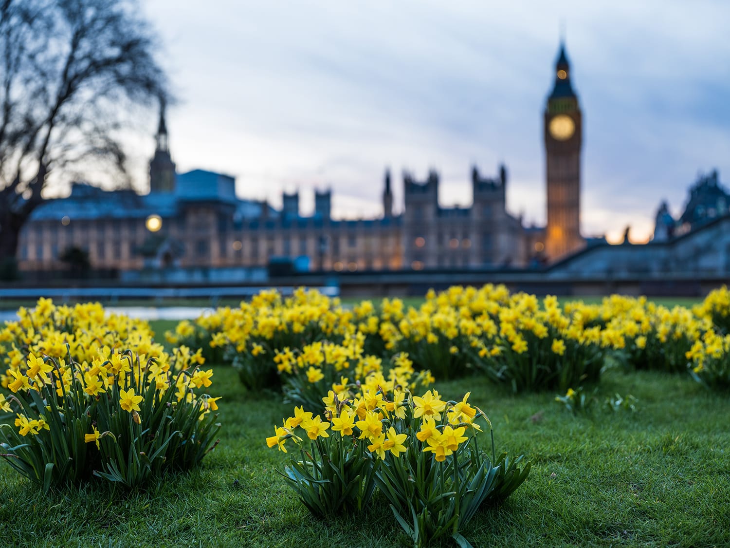 Putting Some Perspective in Your Images - Place Something In The Foreground