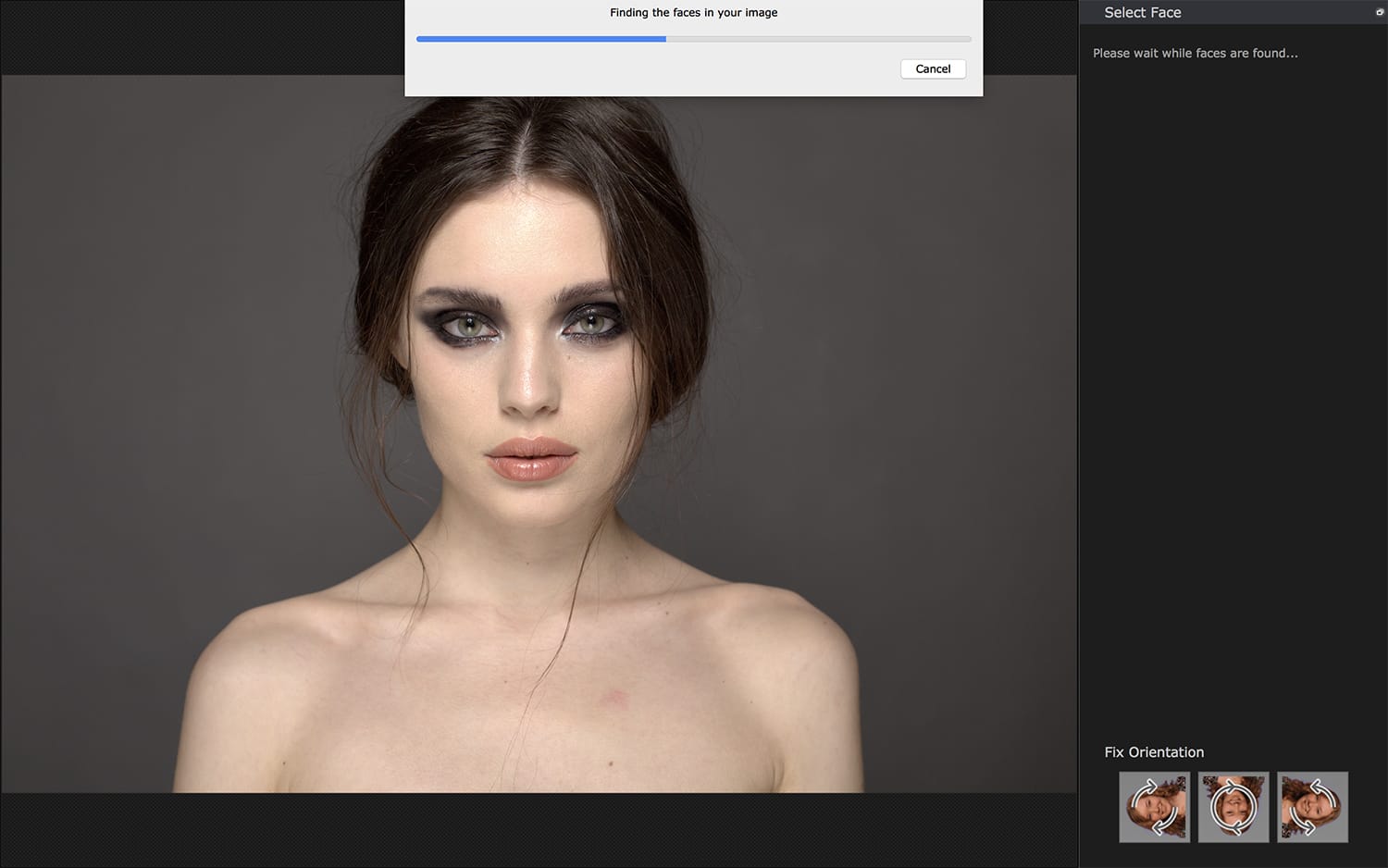 How Does PortraitPro 19 Work