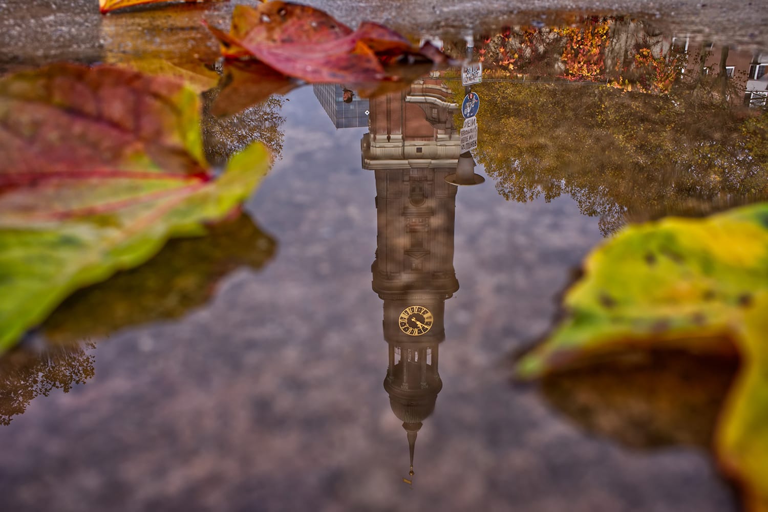 water reflection photography tips