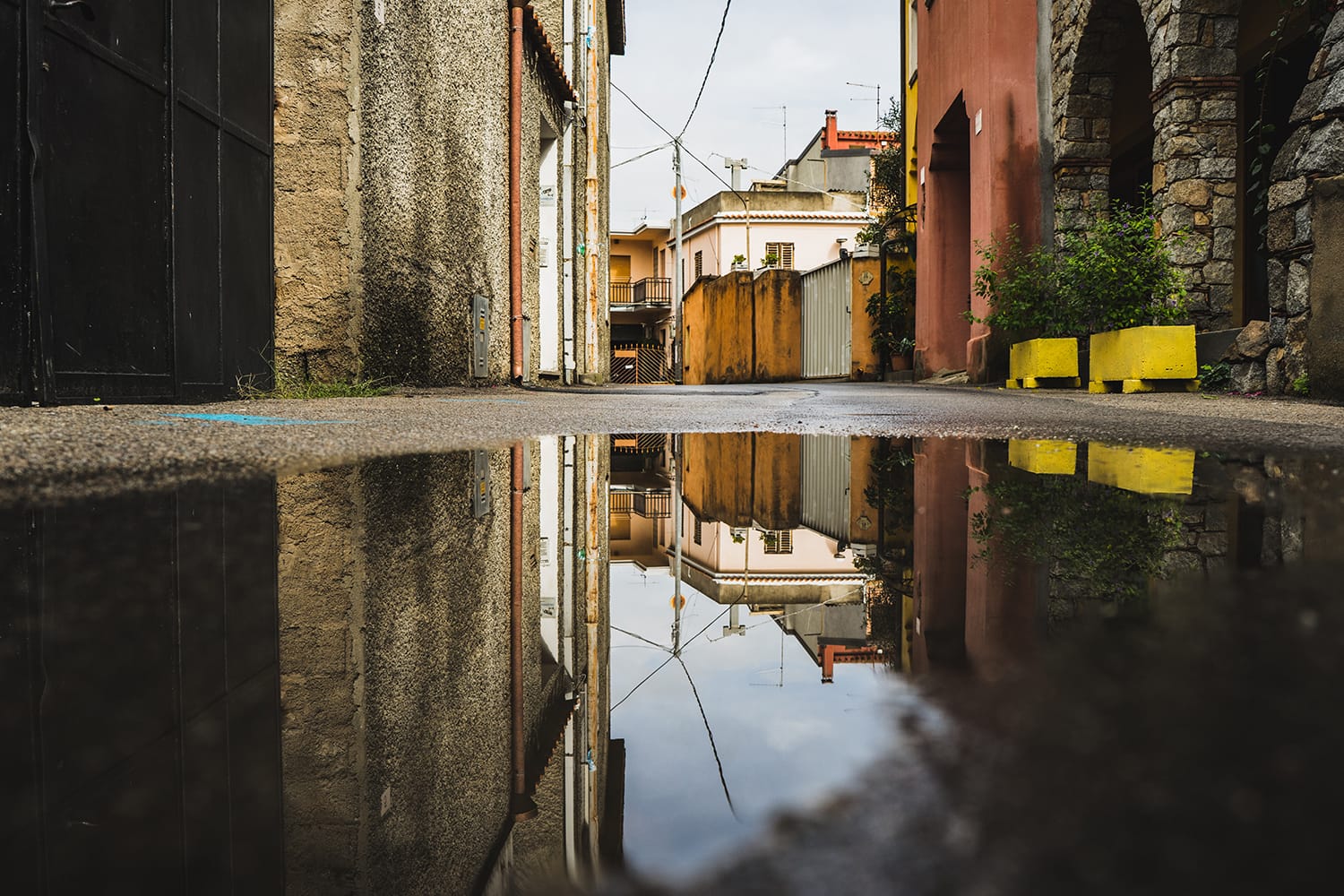 8 Great Tips and Tricks for Taking Awesome Puddle Photos