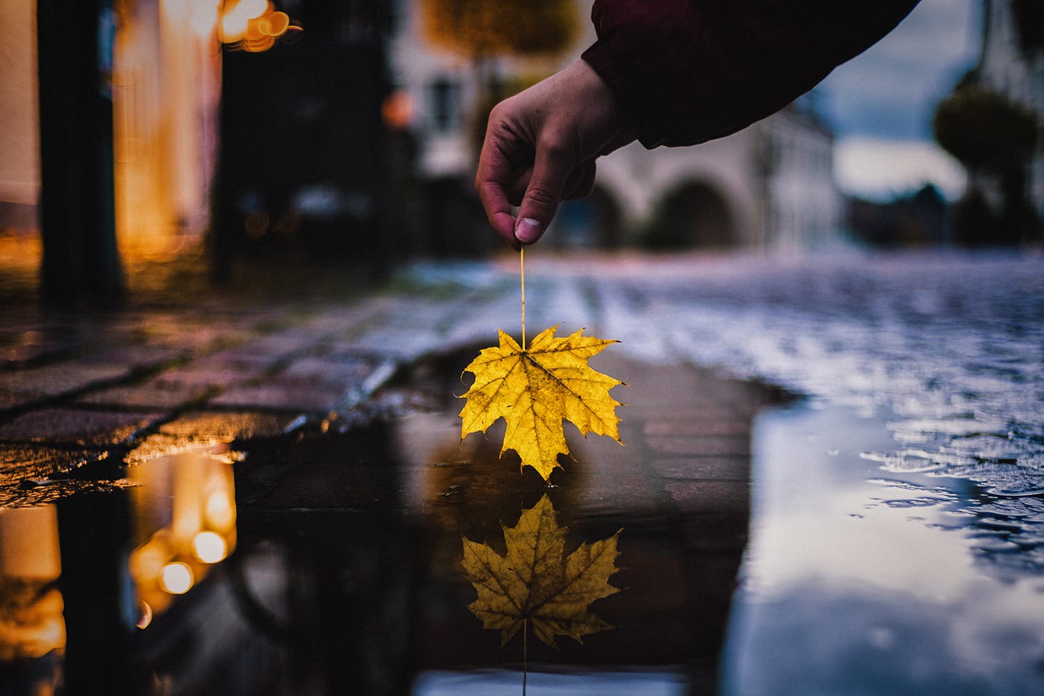 8 Great Tips and Tricks for Taking Awesome Puddle Photos