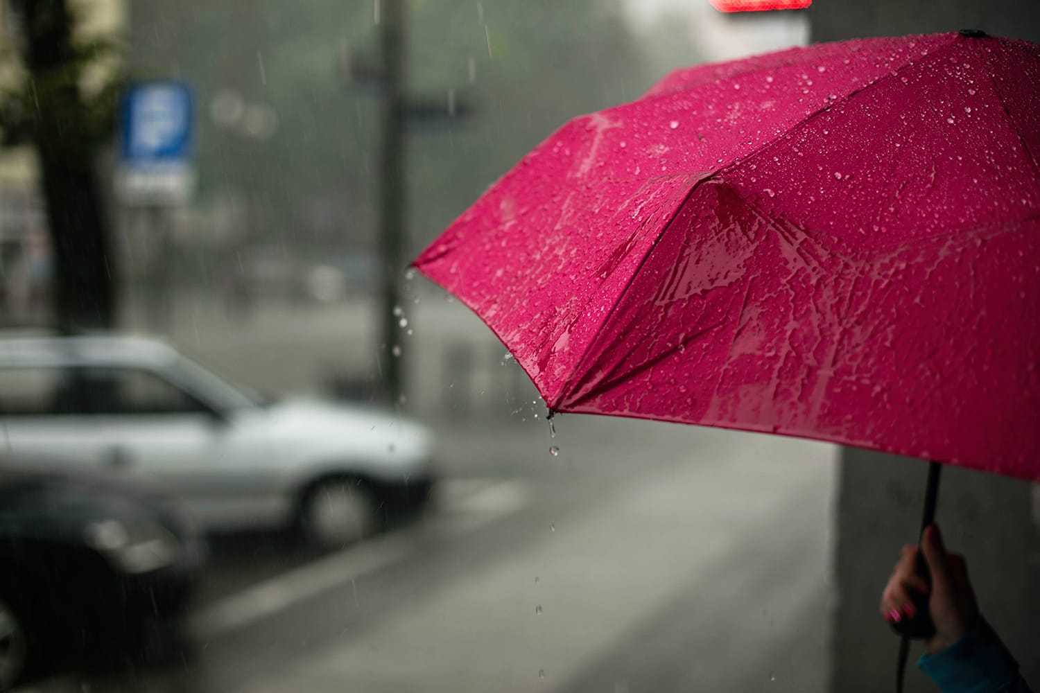 Innovative Hands-Free Umbrella That Keeps Your Camera Dry When Shooting In  The Rain