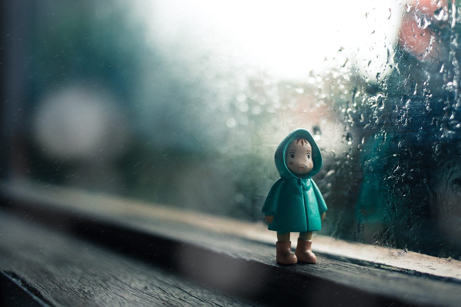 Helpful Tips & Tricks for Successfully Taking Photos in the Rain