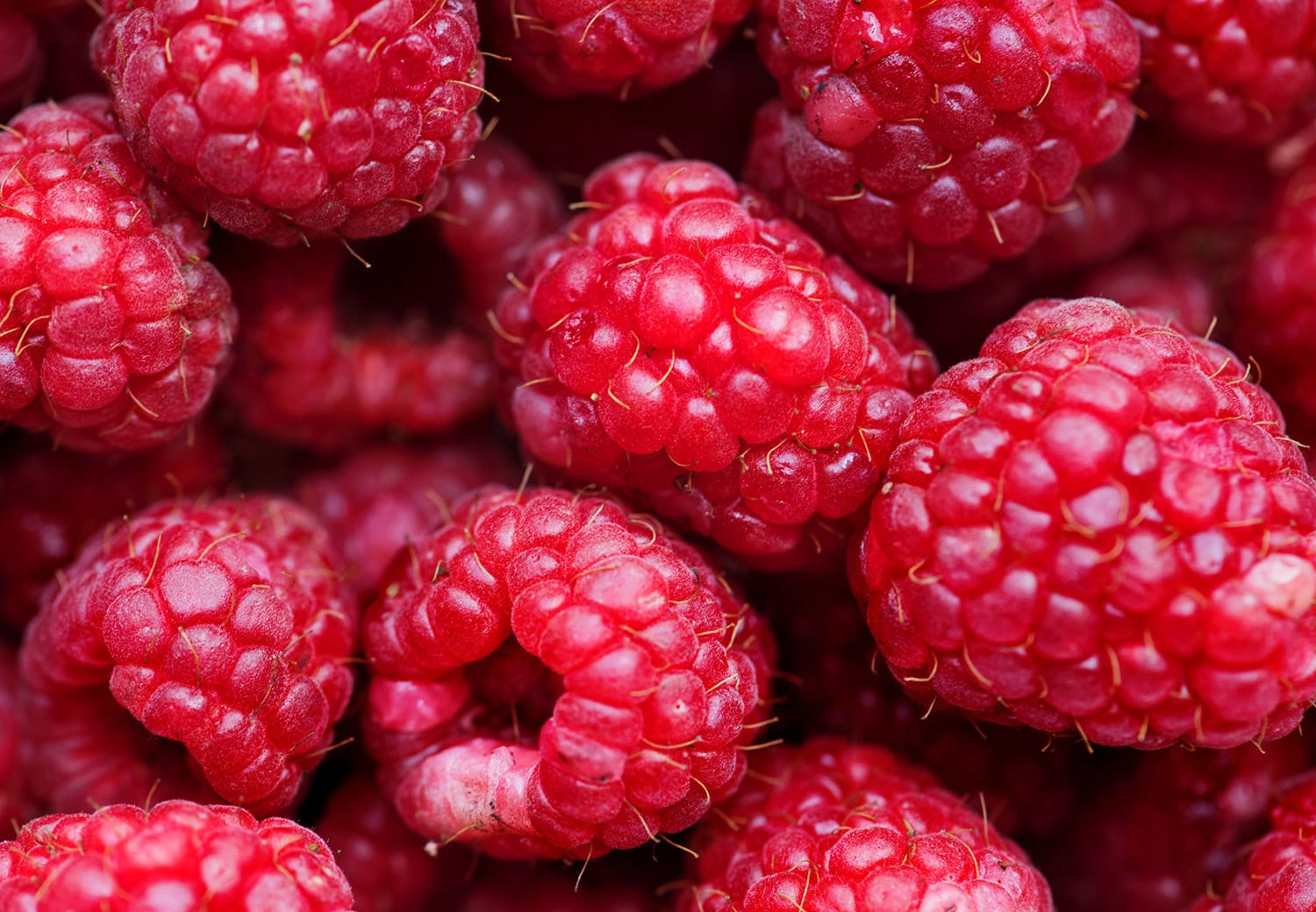 Raspberries