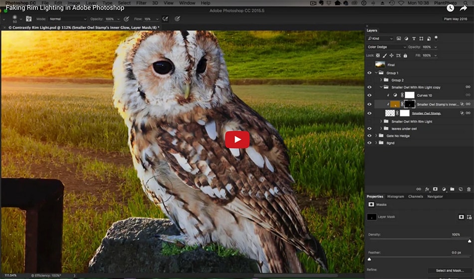 Faking Rim Lighting in Adobe Photoshop - Video Tutorial