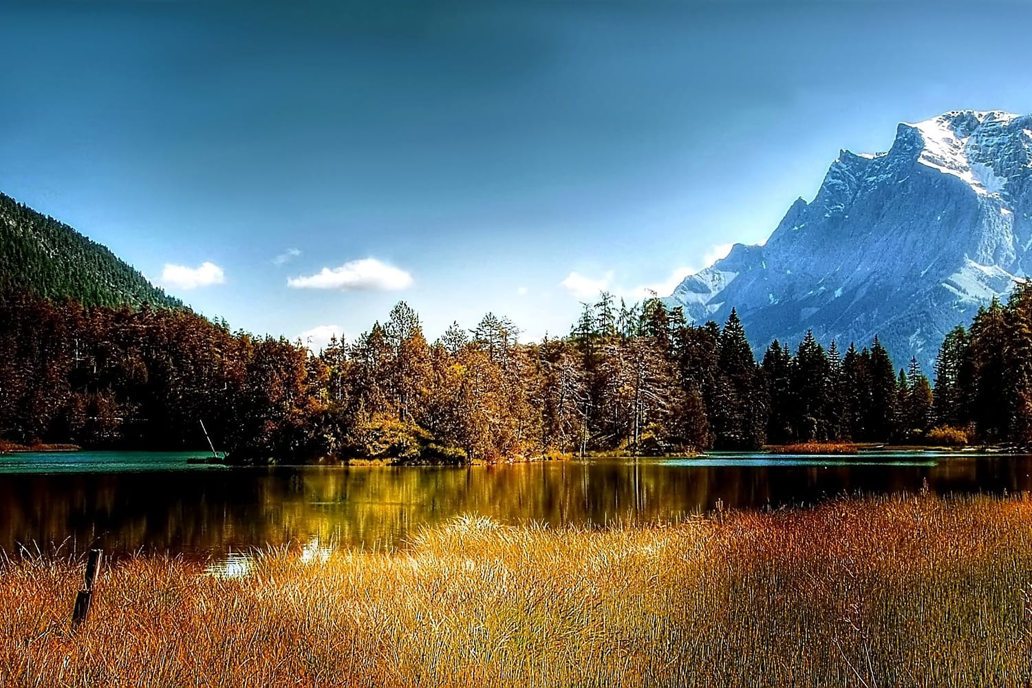 Can't-Miss Tips For Capturing Stunning Autumn Landscapes