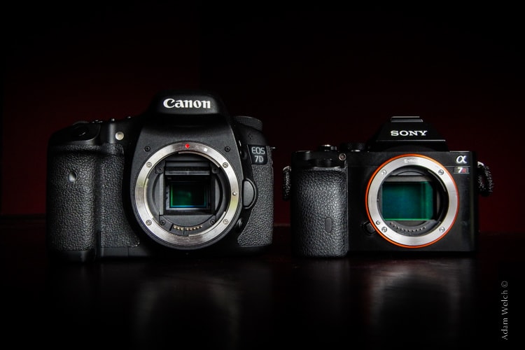 Sony vs Canon