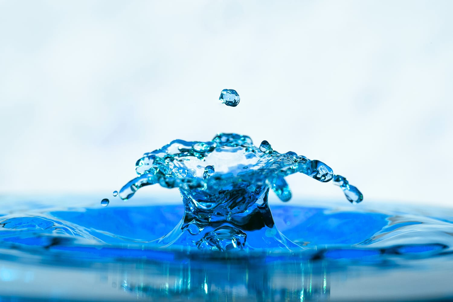 Water Droplet Photography Tips