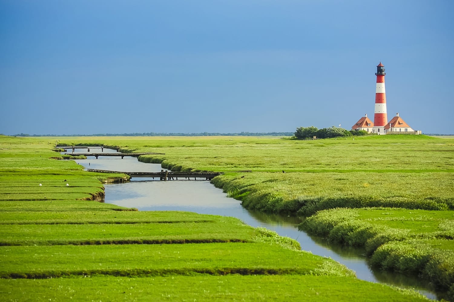 Stream & Meadow