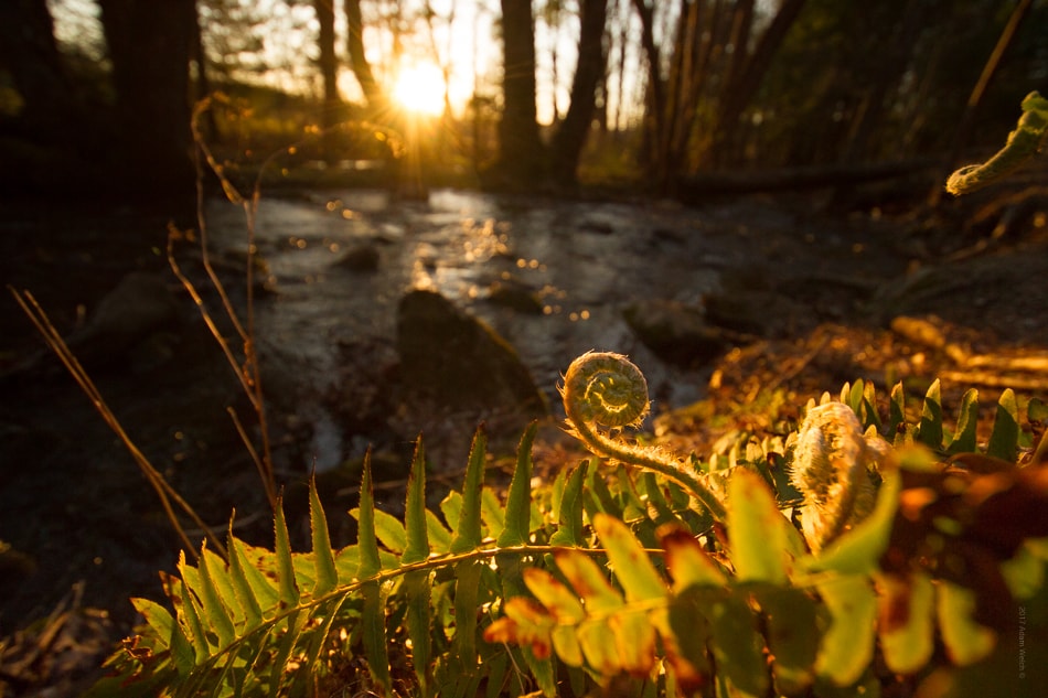 Tamron 10-24mm f3.5-4.5 Di II VC HLD - Lens Review