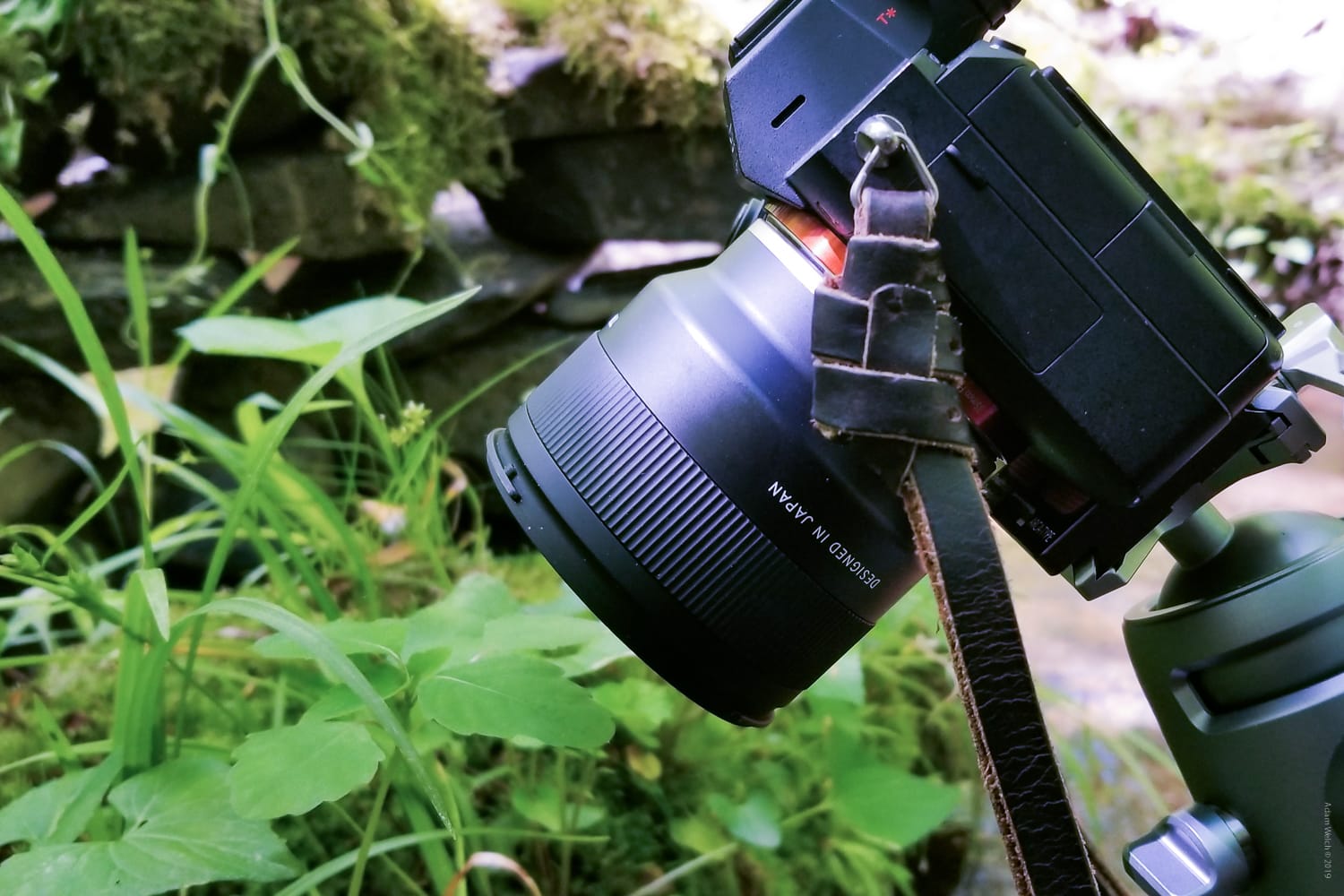 Hands-On Review of the Tamron 20mm f/2.8 Di III OSD M1:2 for Sony FE-Mount
