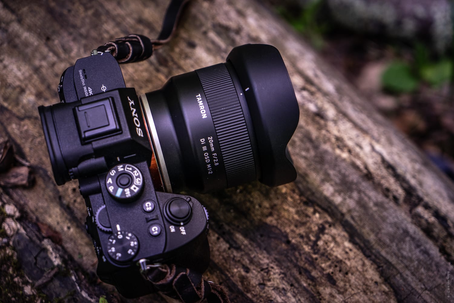 Hands-On Review of the Tamron 20mm f/2.8 Di III OSD M1:2 for Sony FE-Mount