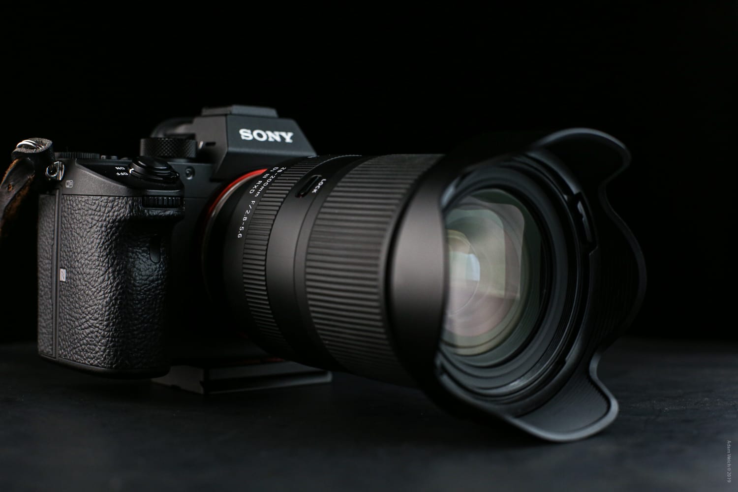 Detailed Review of the Tamron 28-200mm f/2.8-5.6 Di III RXD Full-Frame E-Mount Lens