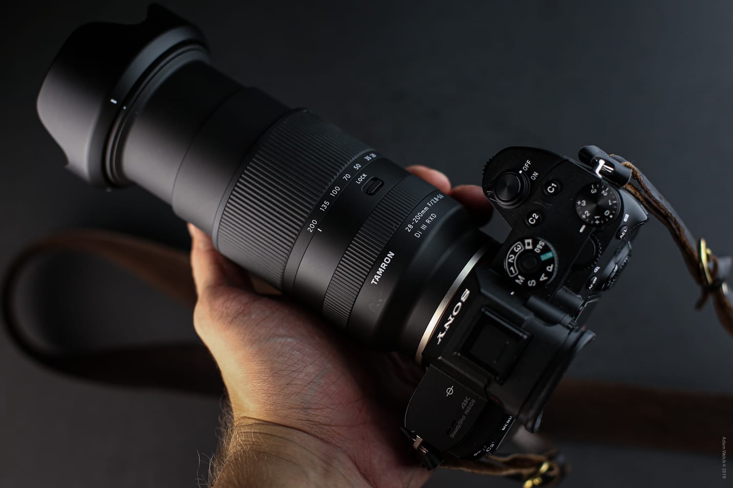 Detailed Review of the Tamron 28-200mm f/2.8-5.6 Di III RXD Full