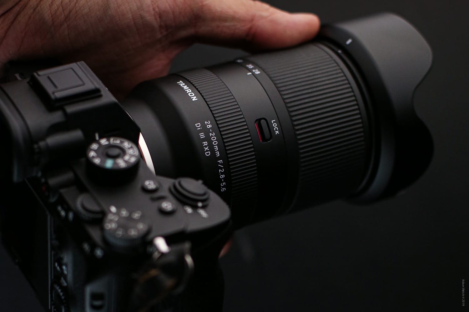 Detailed Review of the Tamron 28-200mm f/2.8-5.6 Di III RXD Full-Frame E-Mount Lens