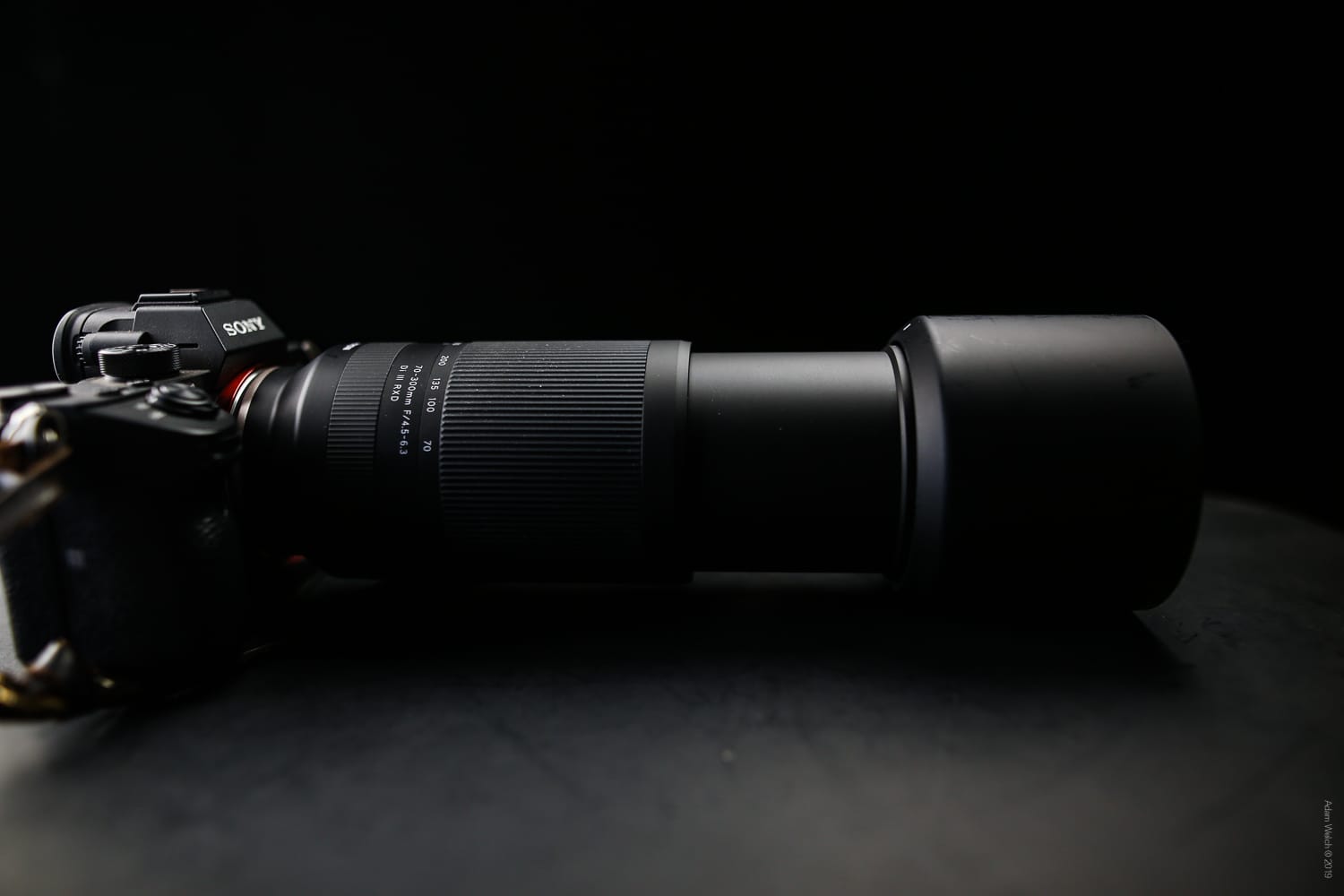 In-Depth Review of the New 70-300mm f/4.5-6.3 DI III RXD Lens from Tamron