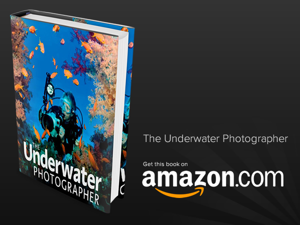 The Underwater Photographer