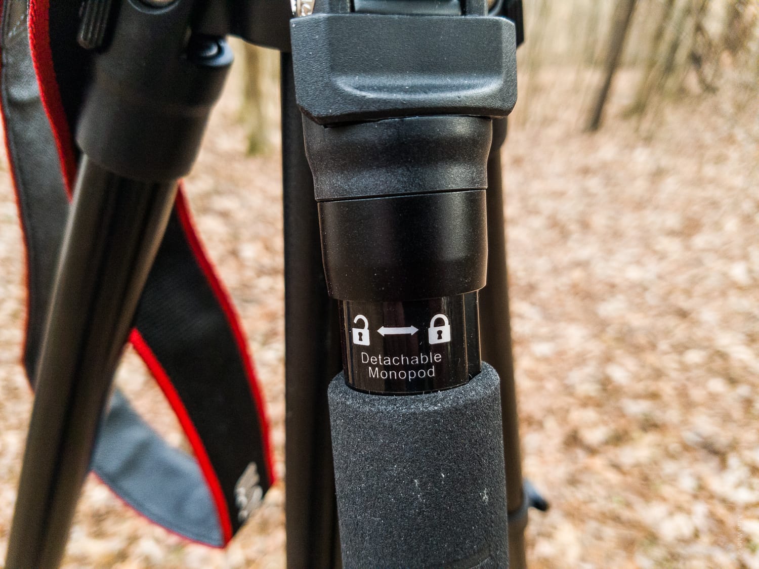 Hands-On Review of the K&F Concept TM2524 Lightweight Travel Tripod