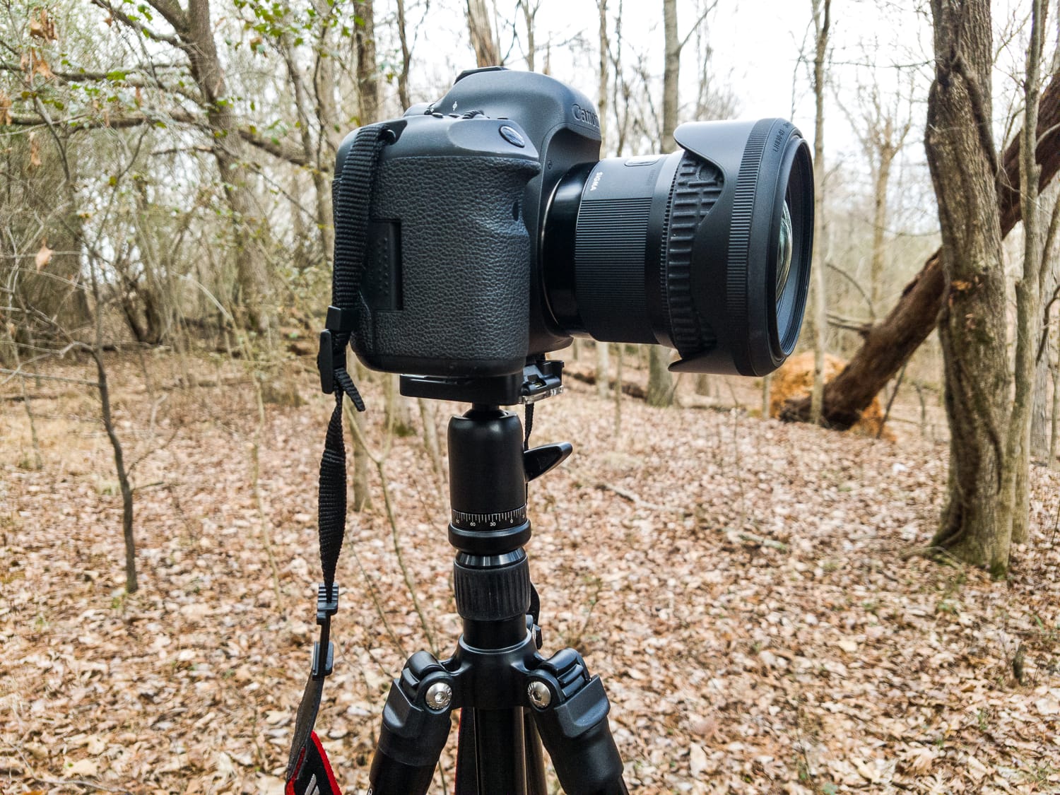 Hands-On Review of the K&F Concept TM2524 Lightweight Travel Tripod
