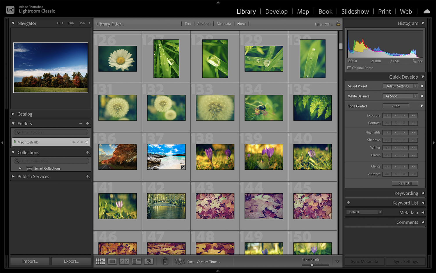 The Top 10 Lightroom Classic Tips for Your Success