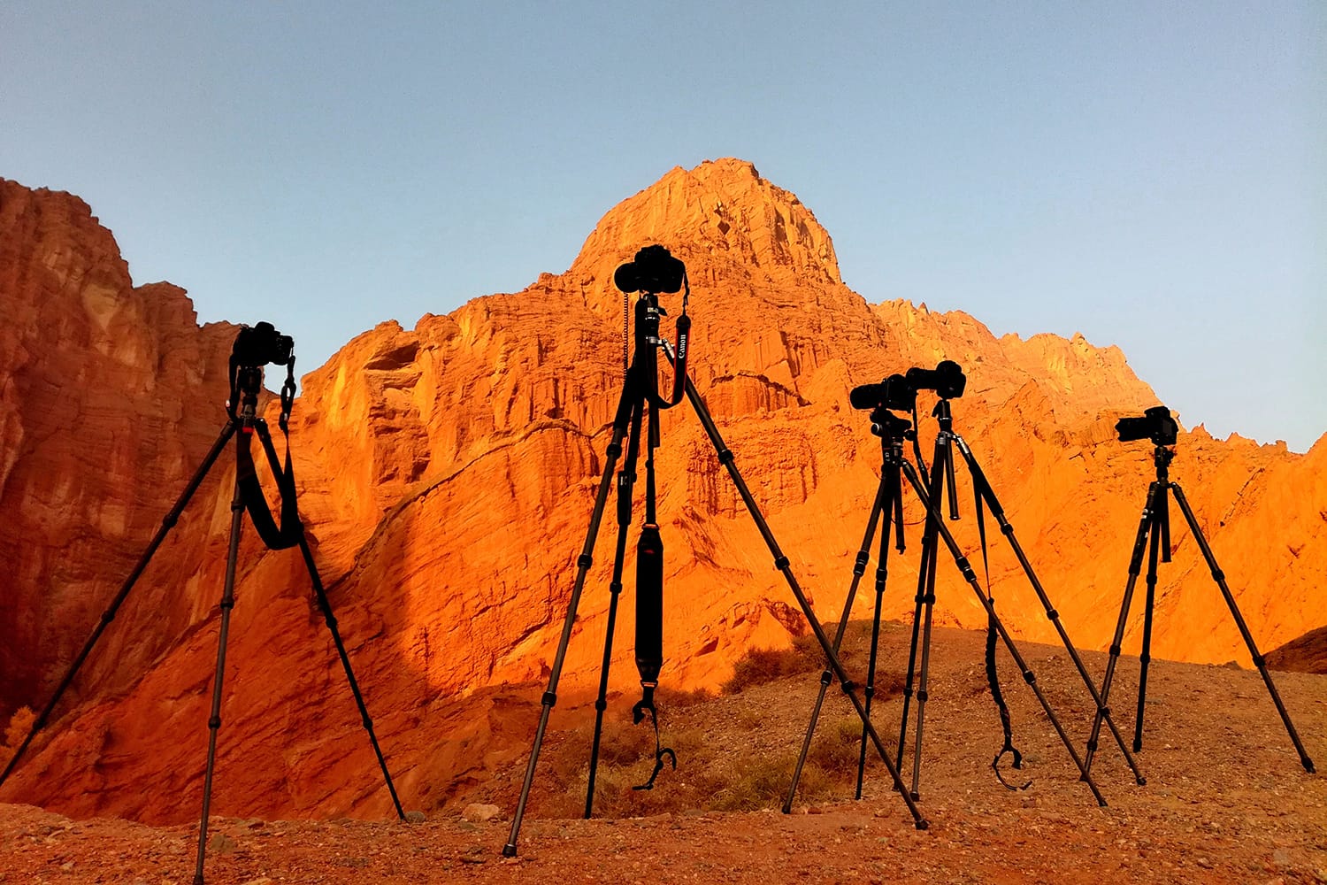 What to Look for When Shopping for the Perfect Tripod