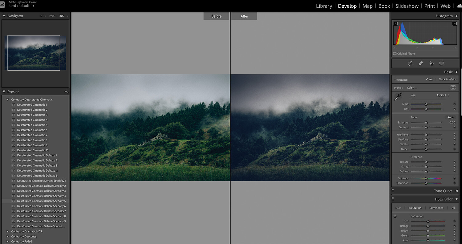 The Value of Lightroom Presets