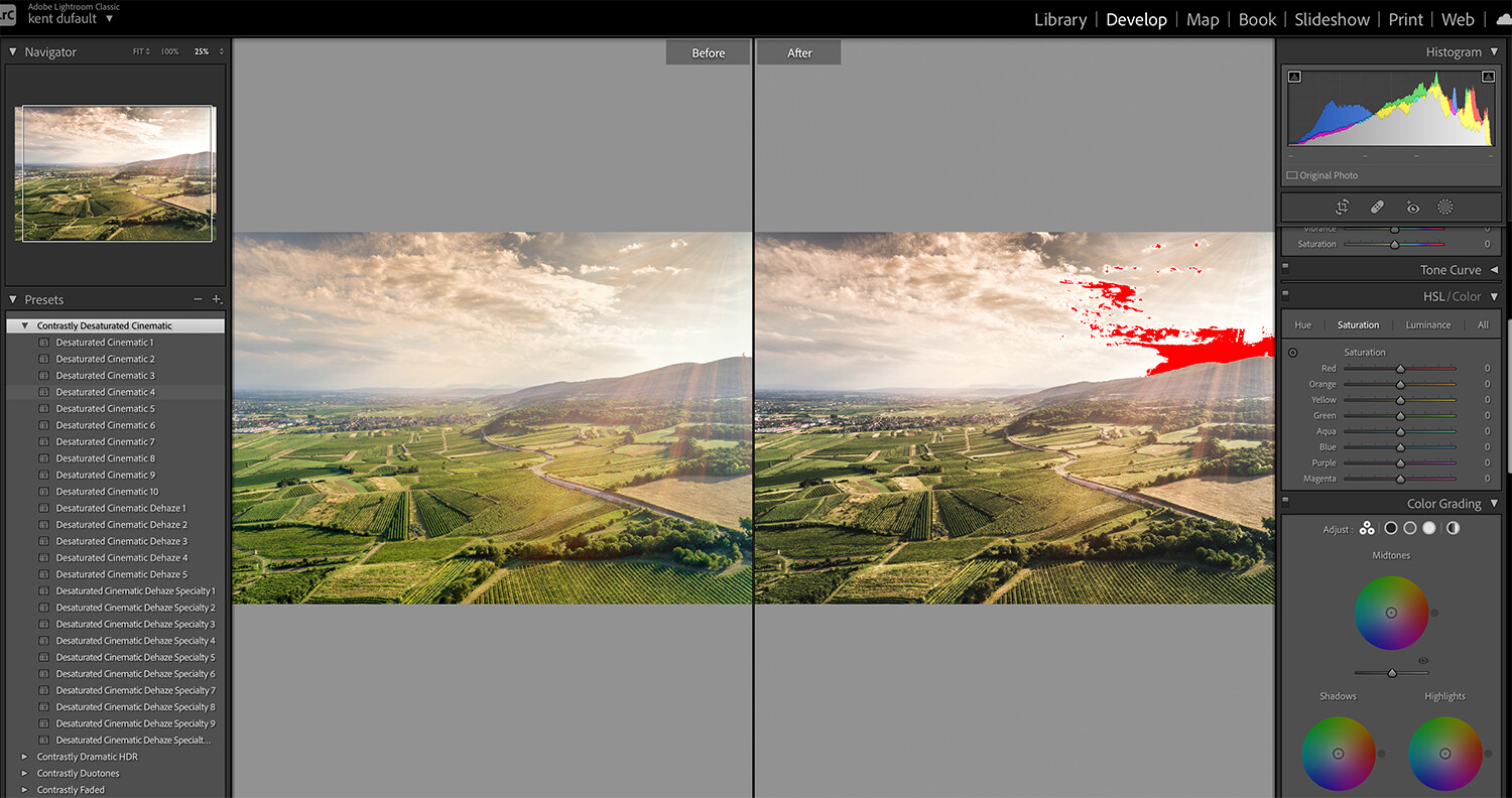 The Value of Lightroom Presets