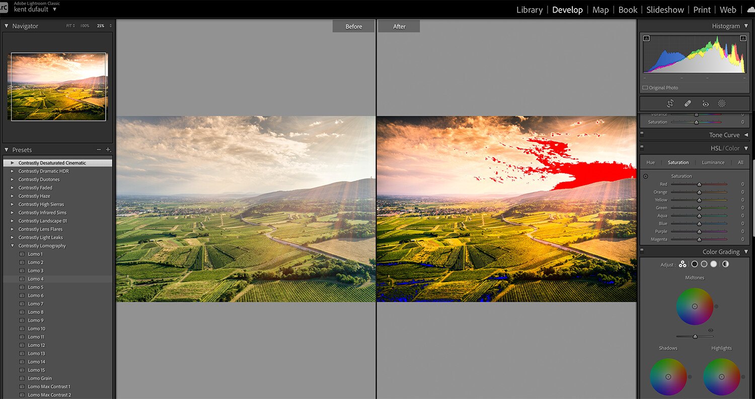 The Value of Lightroom Presets