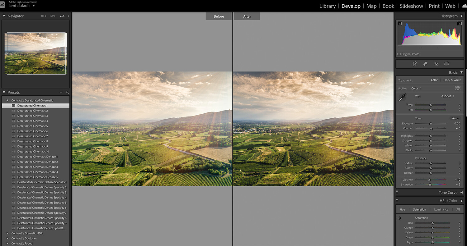 The Value of Lightroom Presets