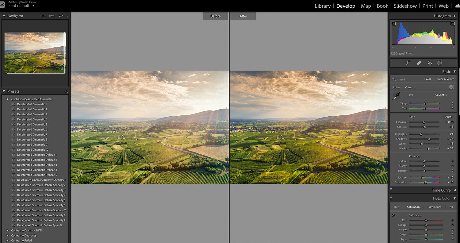 The Value of Lightroom Presets