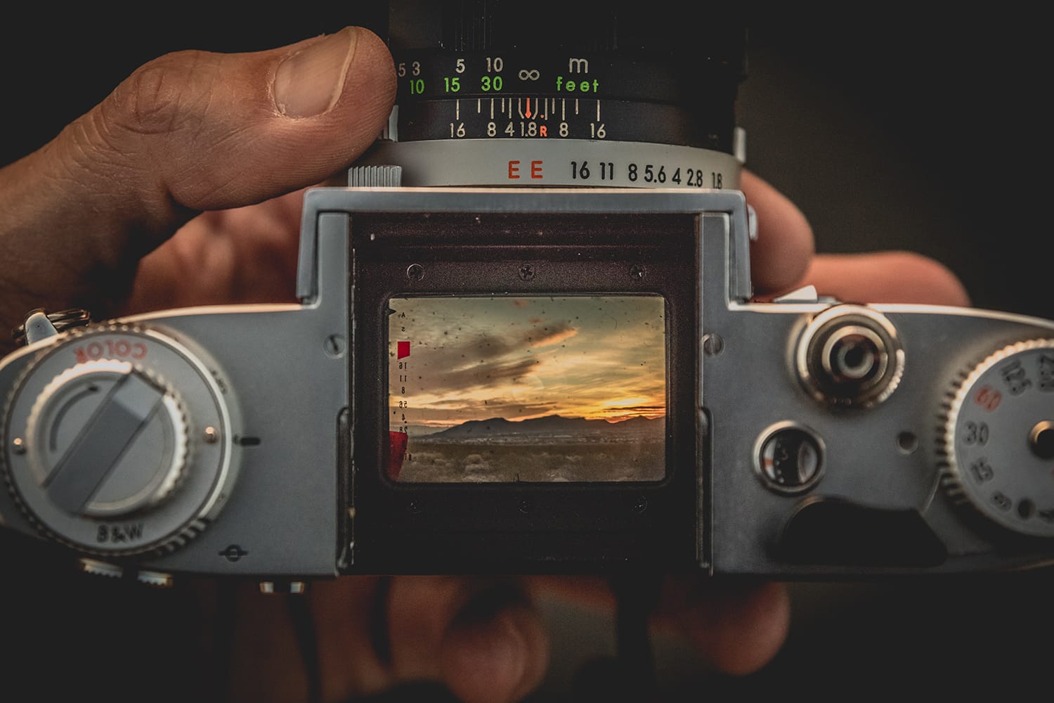Viewfinder vs. LCD Screen: Which One Should You Use? (And Why)