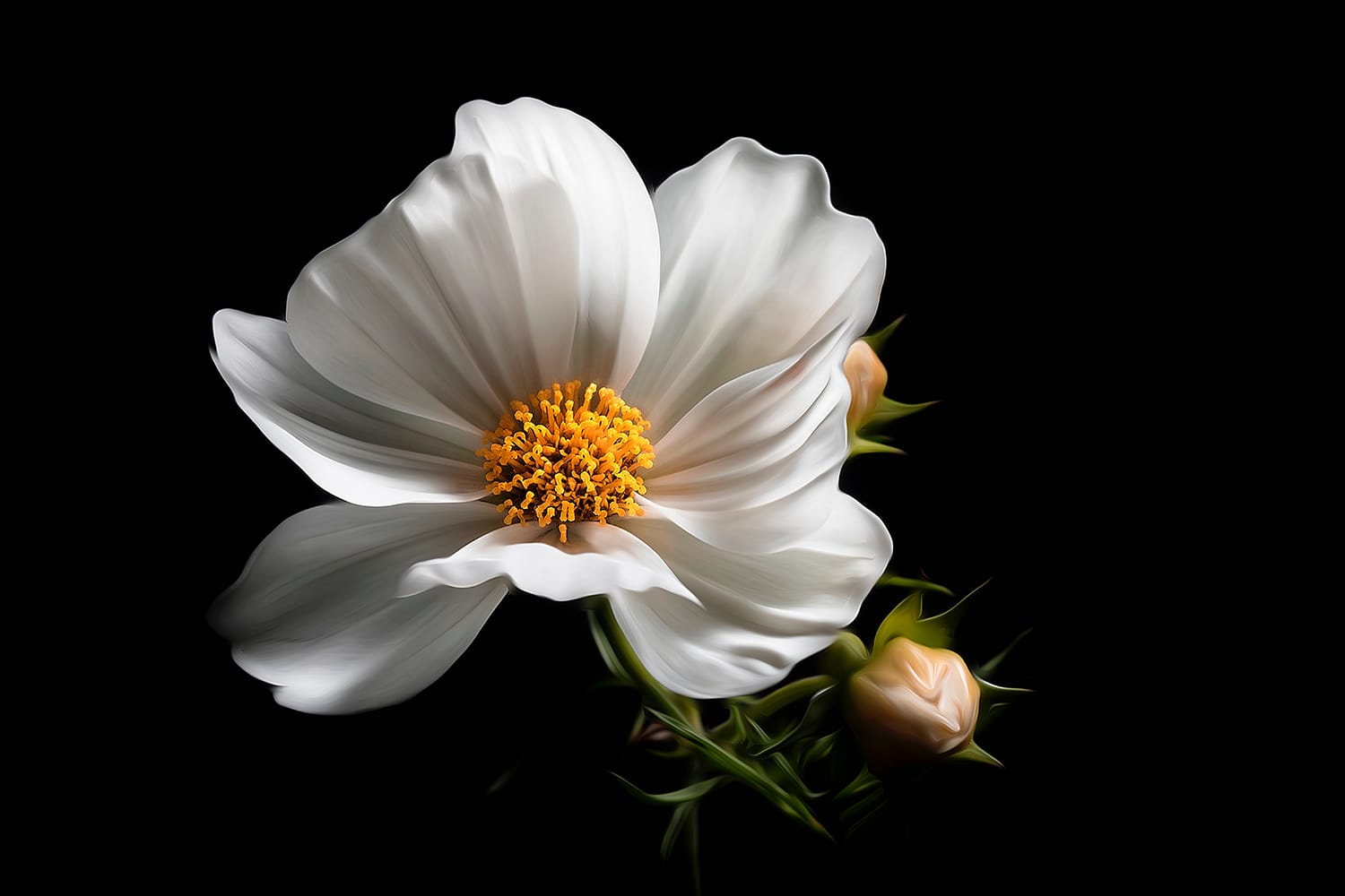 Photography Fundamentals All About Contrast Contrastly