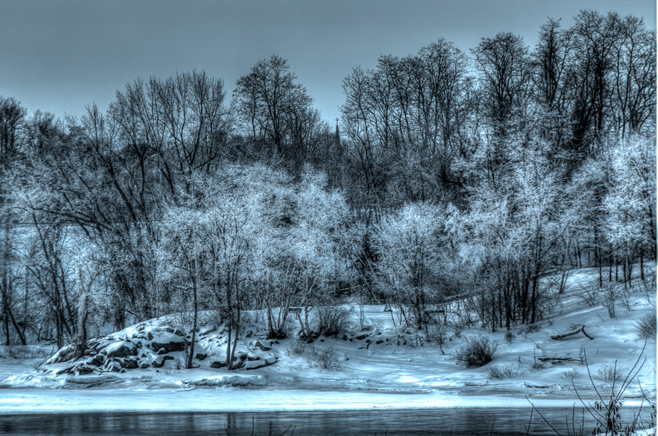 Frosted Trees