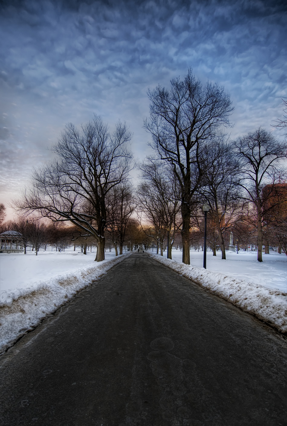 Morning in Boston