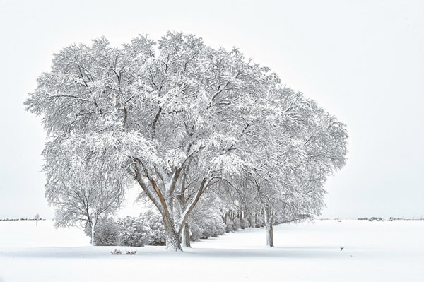 Montrose Colorado