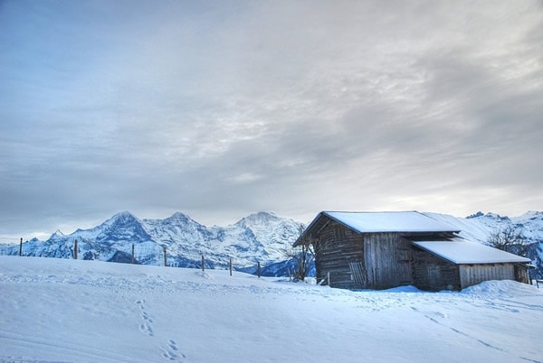 Winter Landscape