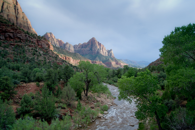 Tips for Visiting and Photographing the Zion National Park | Contrastly