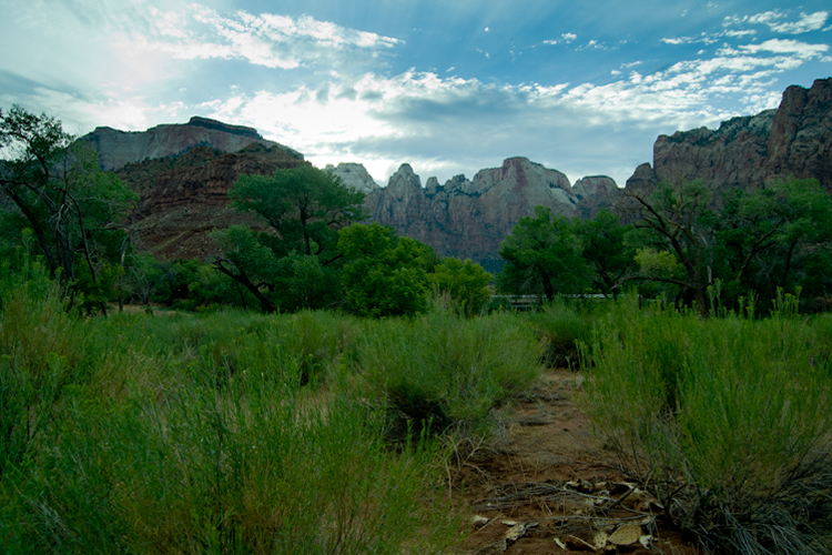 Zion National Park